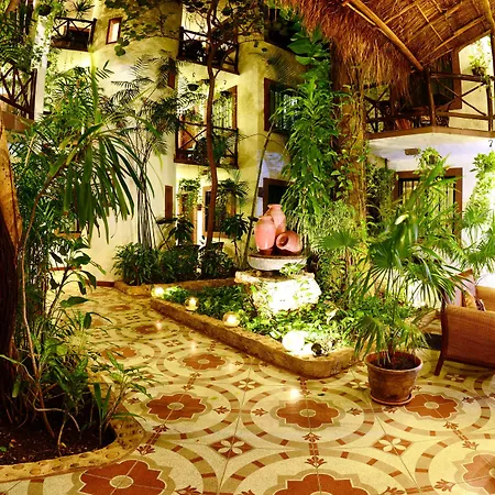 Posada Mariposa Boutique Hotel - 5Th Avenue-3